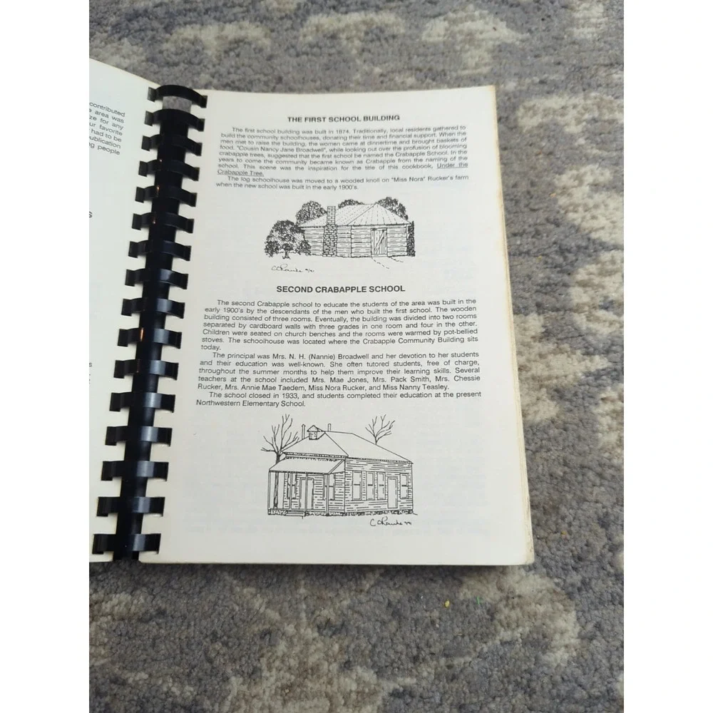 Northwestern Elementary Alpharetta, GA Cookbook Vtg‎ 1991 Crabapple Community